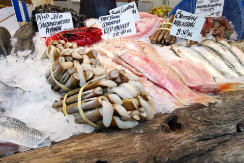 Borough Market, London - Stabmuscheln und Fisch