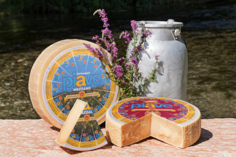 Piave Käse von den Belluneser Dolomiten