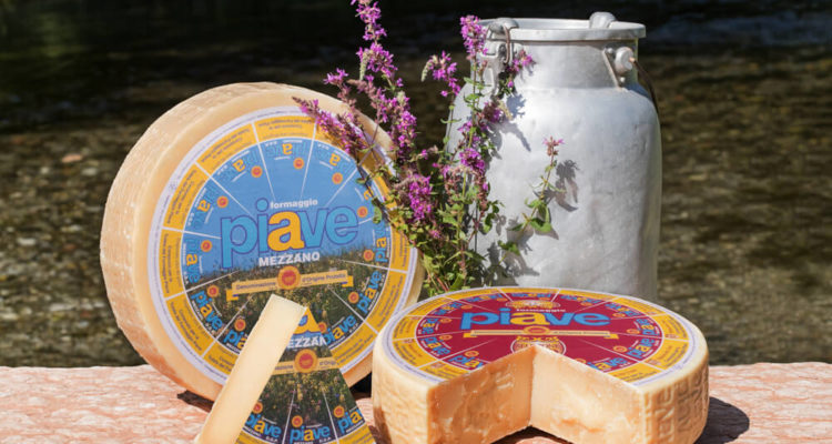 Piave Käse von den Belluneser Dolomiten