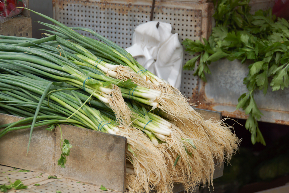 Ramla Market, Israel - Gemüse