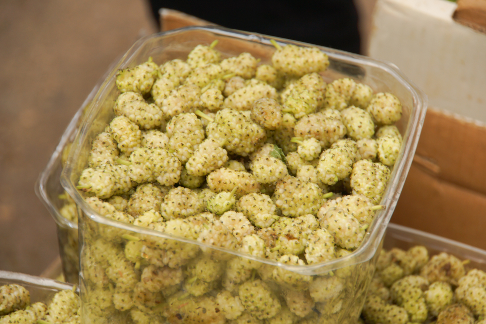 Ramla Market, Israel - frische Beeren