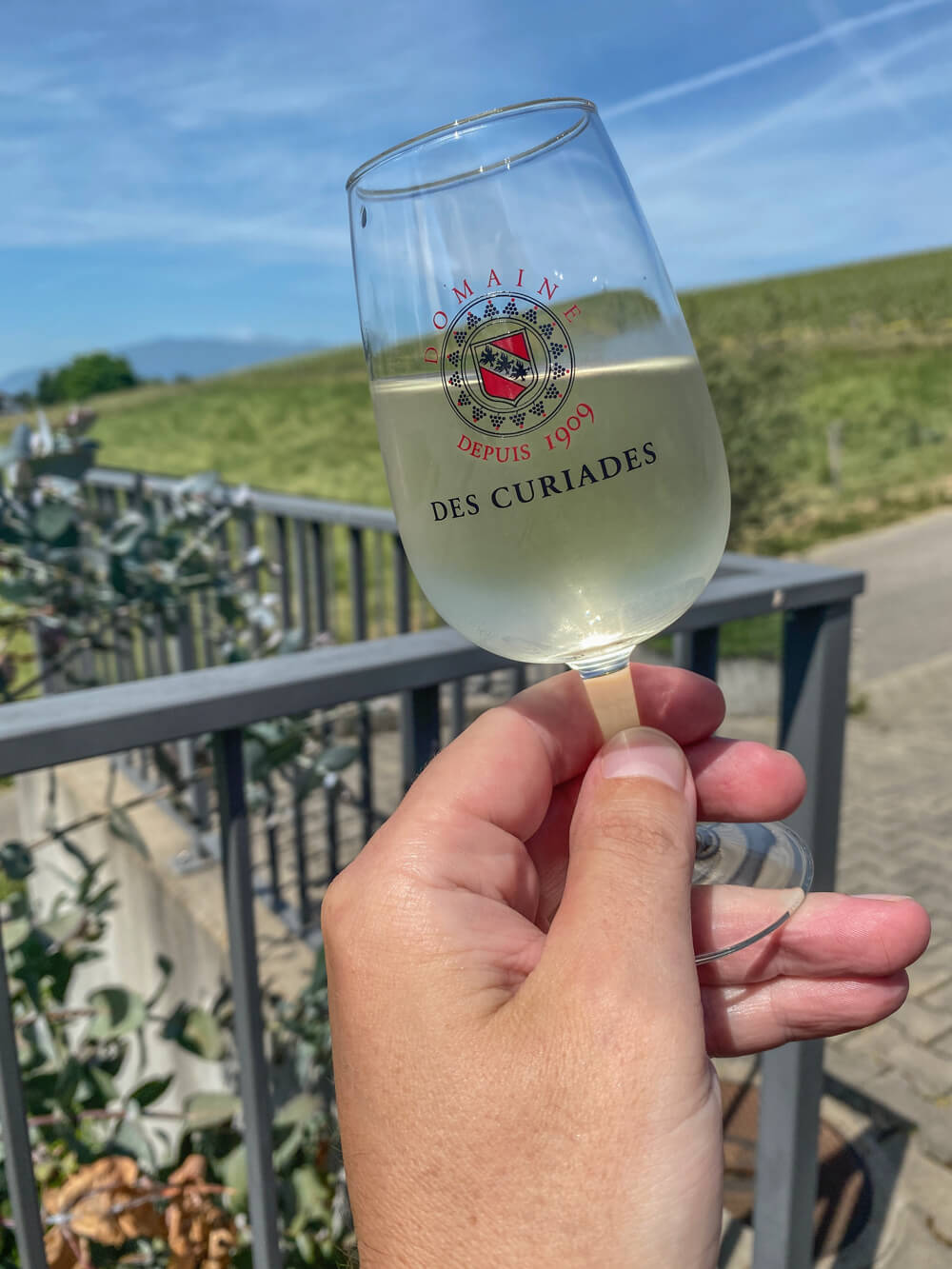 E-Bike Tour, Wein tasting Genf - Domaine de Curiades Tasting