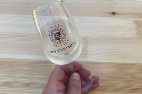 E-Bike Tour, Wein tasting Genf - Domaine de Curiades Weine