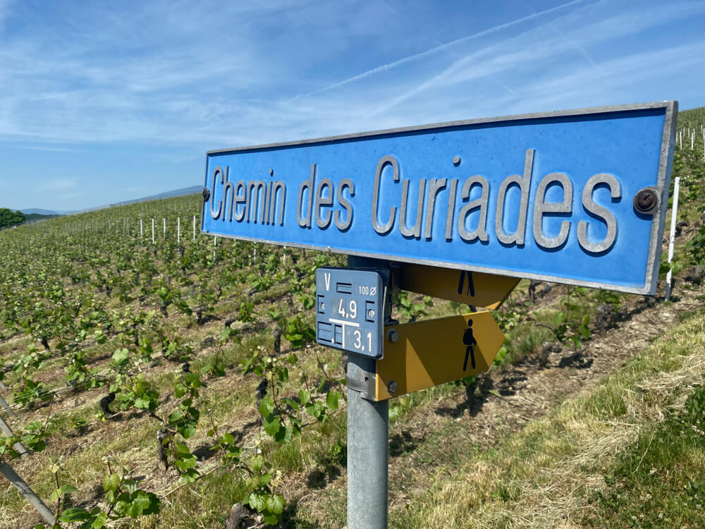 E-Bike Tour, Wein tasting Genf - in den Weinbergen