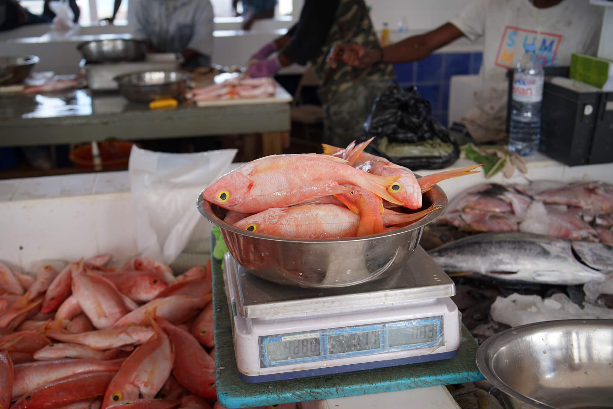 Markt in Marigot, Saint Martin - Fisch wird abgewogen