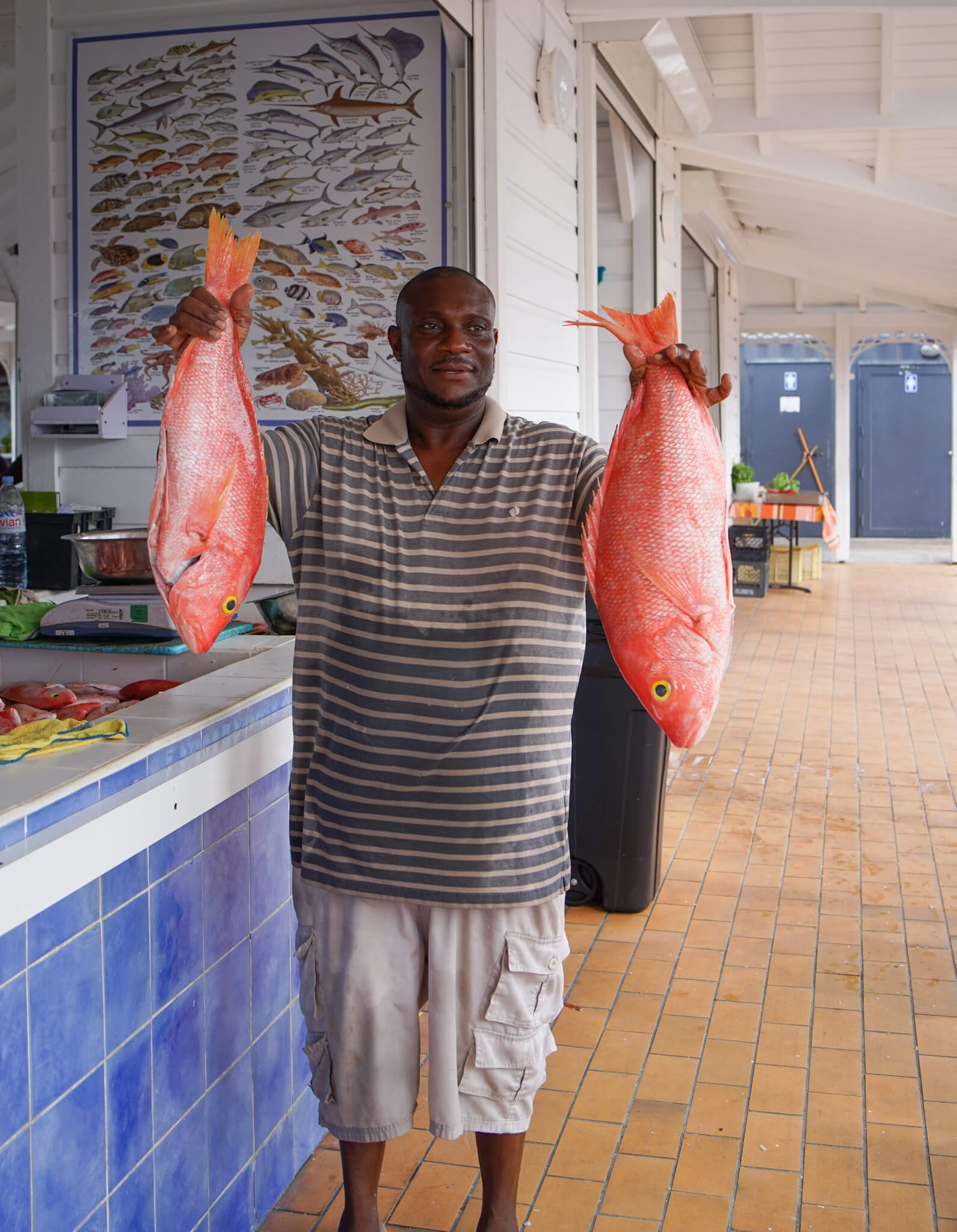 Markt in Marigot, Saint Martin - unglaublich große Red Snapper